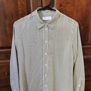 Everlane Silk Dress Shirt